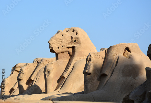 Sphingen im Karnak-Tempel, Luxor, Ägypten