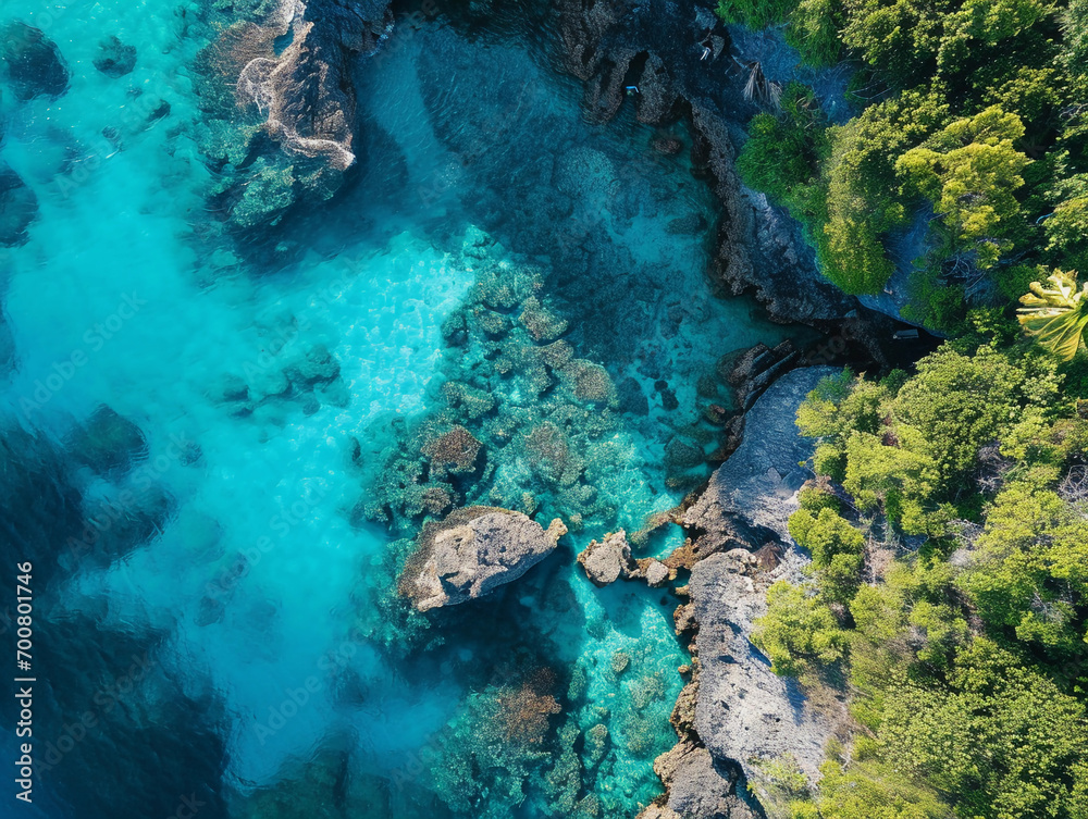 secluded beach cove, crystal-clear turquoise waters, vibrant corals visible beneath the surface