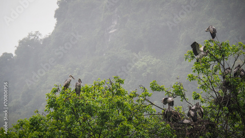 The landscape of Ninh Binh in Northern Vietnam