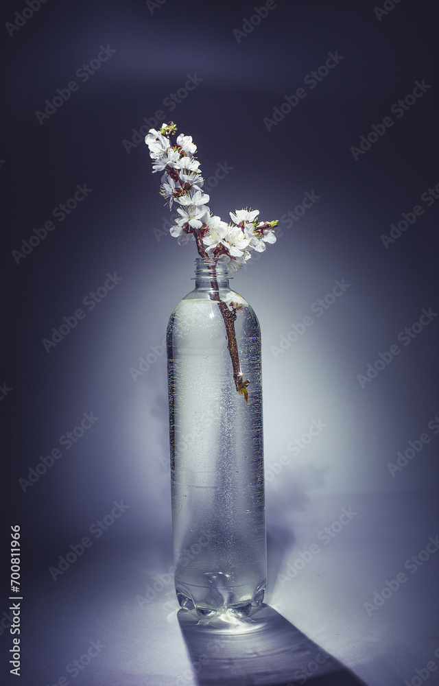 Bottle with clean water and flowers