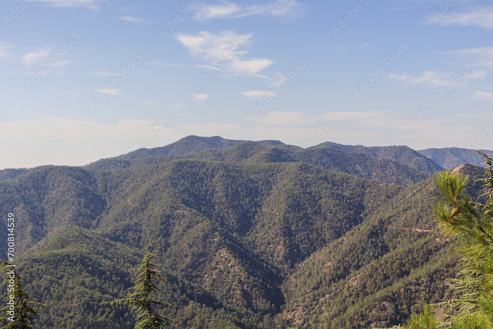 Mountain landscape with blue sky in the background. View of mountains with pine forest