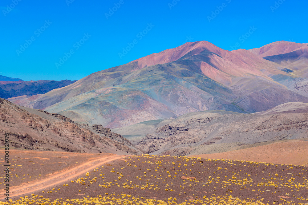 Naklejka premium Paisaje montañoso colorido y desértico - Camino a Laguna Brava - La Rioja - Argentina 