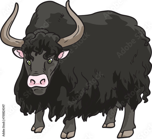 Yak Bull Wild Animal Vector Illustration