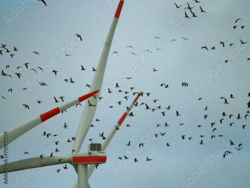 Cuadro en lienzo Vogelschlag durch Windräder