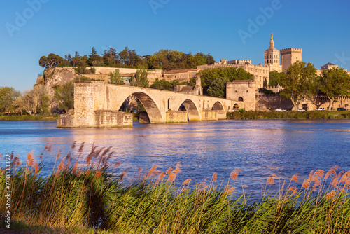 Famous medieval Saint Benezet bridge and Palace of the Popes during gold hour, Avignon, France photo