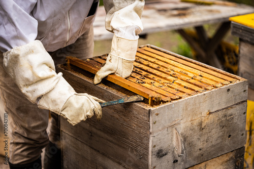 opening a beehive