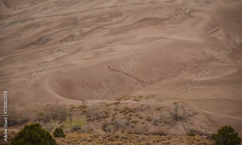 Fototapeta Naklejka Na Ścianę i Meble -  lone hiker in colorado sand dunes