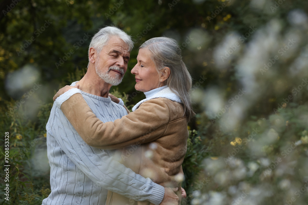 Affectionate senior couple dancing together outdoors, space for text Affectionate senior couple dancing together outdoors, space for text
