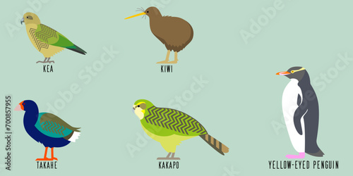 ニュージーランドの鳥5種のベクターイラスト
