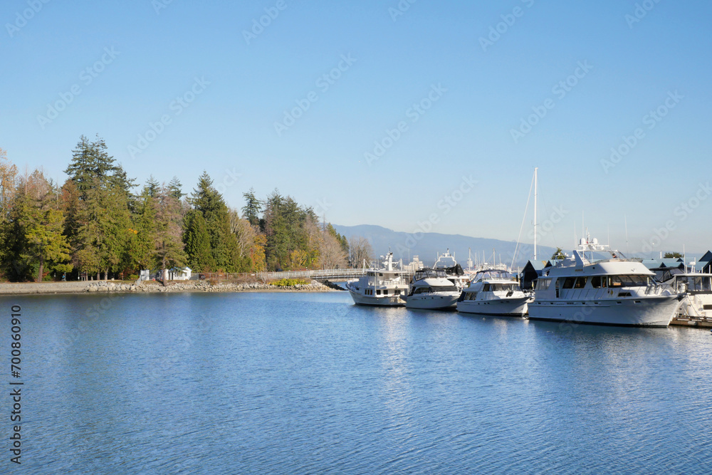Fototapeta premium Stanley Park during a fall season near Deadman's Island and the Royal Vancouver Yacht Club in Vancouver, British Columbia, Canada