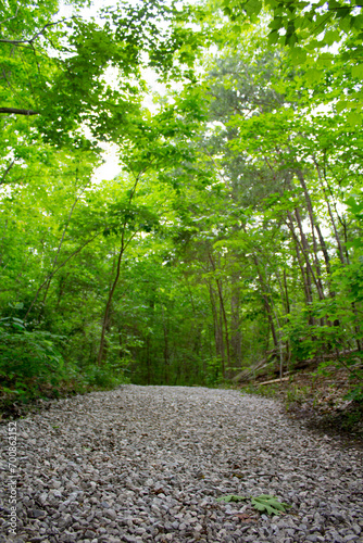 A graveled hiking path in the forest