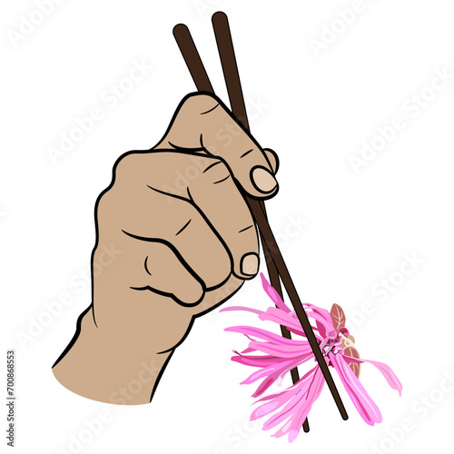 Human hand holding a single blooming flower of Loropetalum Chinense plant with chopsticks. Funny vegan food design. Chinese fringe flower or strap flower. Isolated vector illustration.