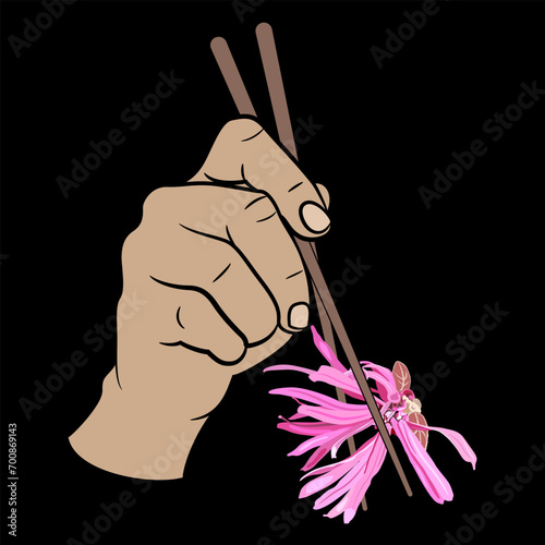 Human hand holding a single blooming flower of Loropetalum Chinense plant with chopsticks. Funny vegan food design. Chinese fringe flower or strap flower. On black background.