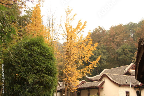 Autumn Scenery in Yuelu Mountain, Changsha, China © marcuspon