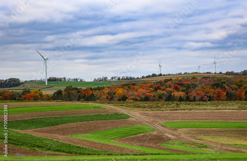 Field in central Pa in the fall