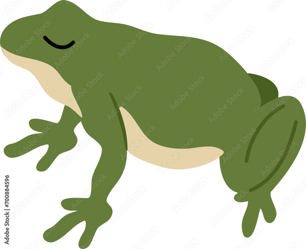Fototapeta premium cute frog cartoon animal