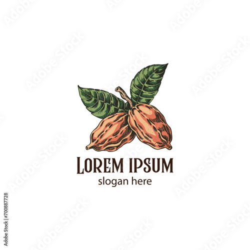 hand-drawn vintage colorful cocoa bean logo design, illustration, cocoa bean logo design
