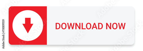 download now button with download icon isolated on a white background