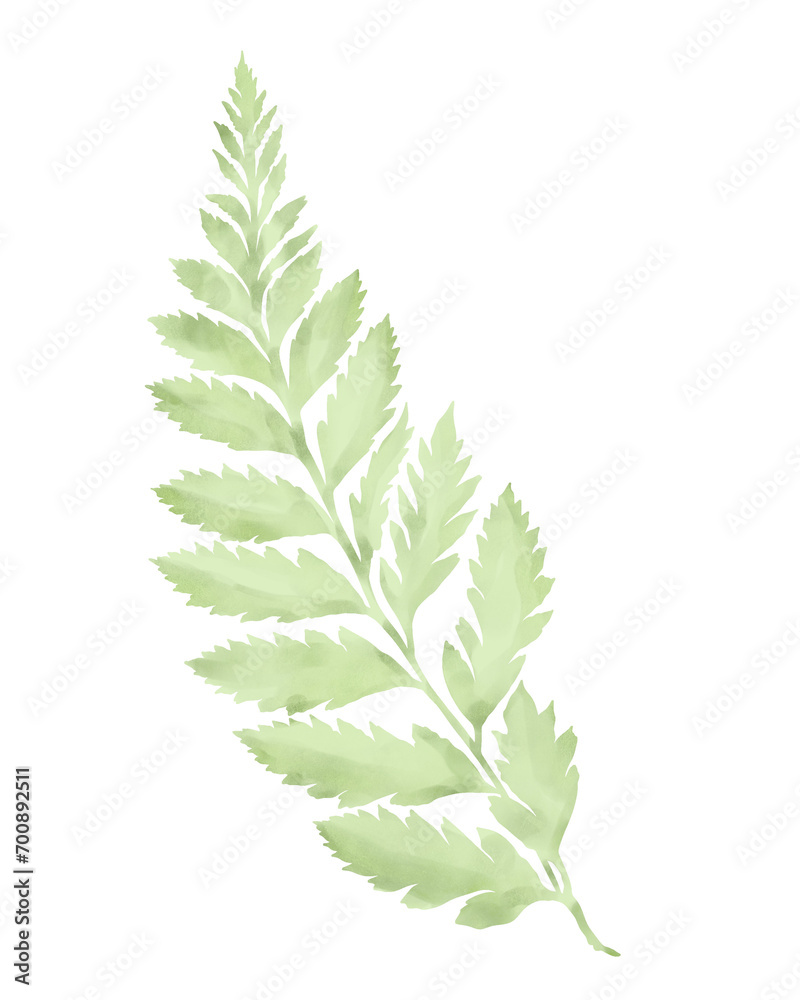 Fototapeta premium Leaf watercolor illustration