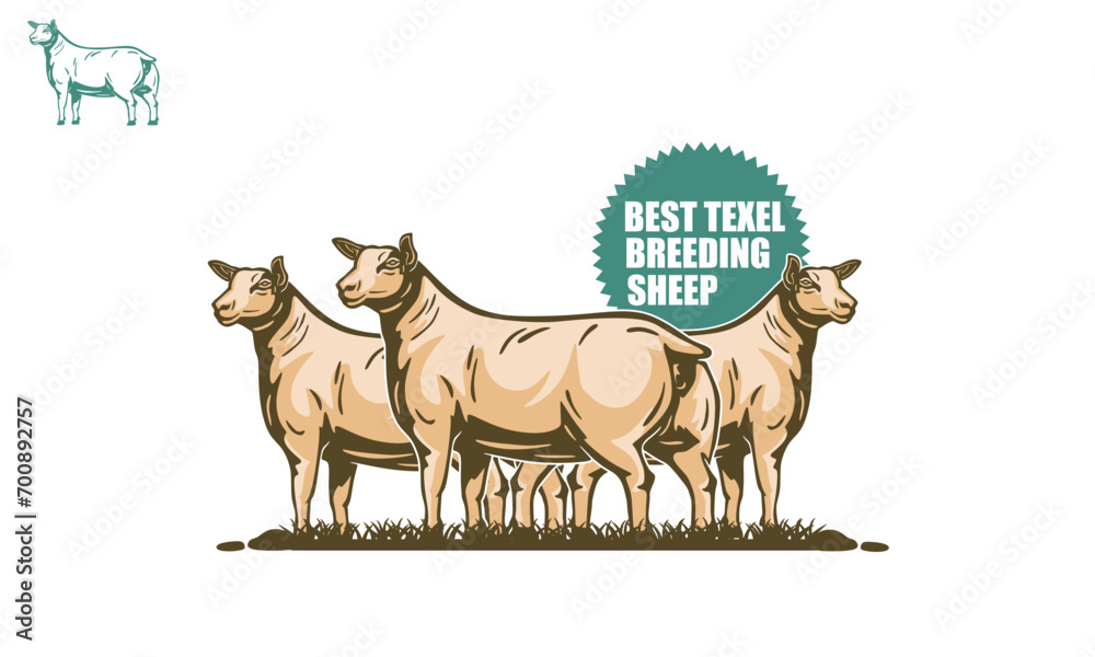 TEXEL CROSS BREED SHEEP LOGO, silhouette of best sheep for meat vector illustrations TEXEL CROSS BREED SHEEP LOGO, silhouette of best sheep for meat vector illustrations
