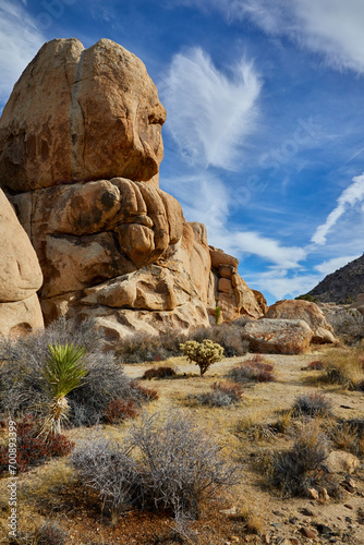 Desert rocks and smooth boulders on a beautiful blue sky day in Joshua Tree National Park as a vertical image