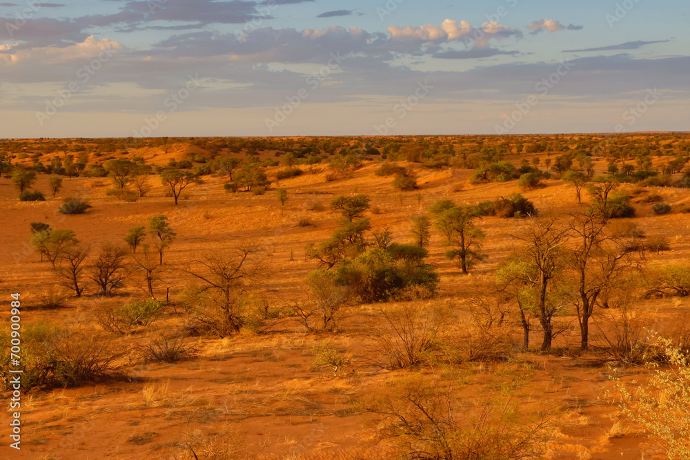 Arid Kalahari Landscape with dunes and clouds, near Gharagab in the Kgalagadi Transfrontier Park Arid Kalahari Landscape with dunes and clouds, near Gharagab in the Kgalagadi Transfrontier Park