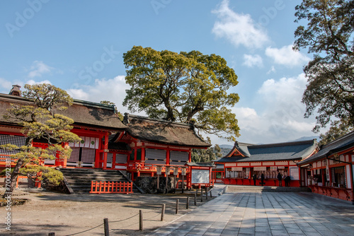 Photography Usa Shrine in Japan