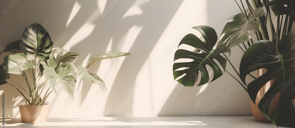 Monstera leaf on beige pastel wall with window light shadows, 3d rendering cosmetic product display mockup
