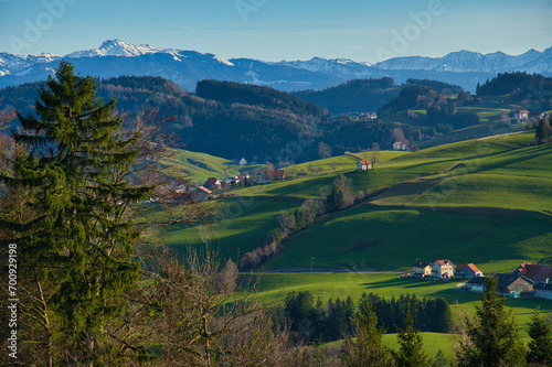 Fünfländerblick von Grieb in der Schweiz auf den Bodensee