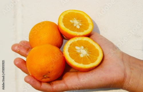 A detailed close-up of the Malta (orange) fruit in hand, a geographically identified and celebrated citrus variety native to Uttarakhand. photo