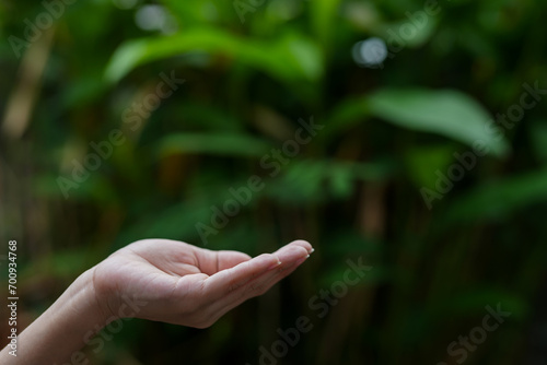 Technology,   Hands holding  globe of tropical nature summer background,  © panomporn