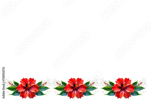 Hibiscus flower border on white background photo