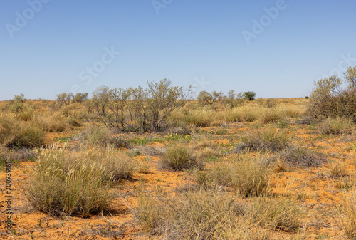 Arid Kalahari Landscape with dunes and clouds, near Gharagab in the Kgalagadi Transfrontier Park © Boshoff