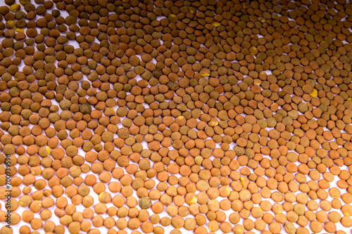 Texture of crumbled lentils.