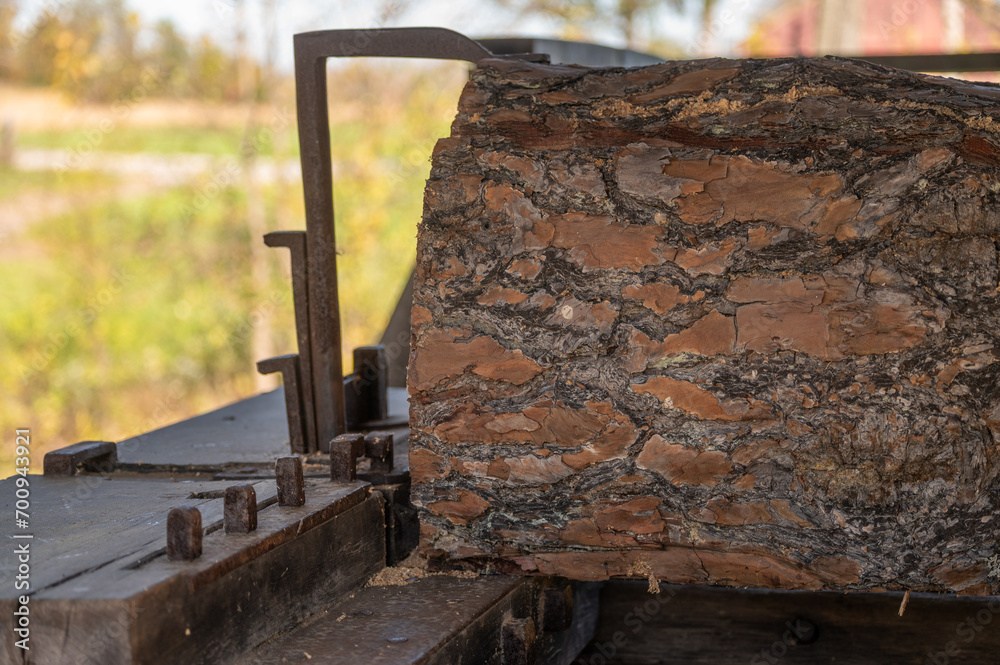 Tree bark closeup lumber clamped onto historical colonial sawmill iron clamp detail, tree bark texture and defocused bokeh nature background. Tree bark closeup lumber clamped onto historical colonial sawmill iron clamp detail, tree bark texture and defocused bokeh nature background.