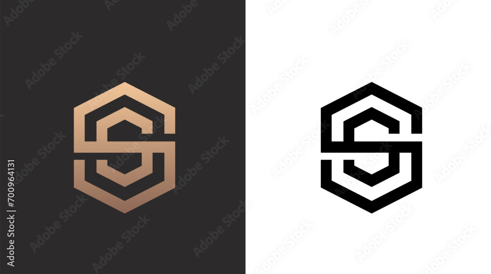 Alphabet SS luxury initial letters and hexagon brand monogram logo template. vector ilustration Alphabet SS luxury initial letters and hexagon brand monogram logo template. vector ilustration