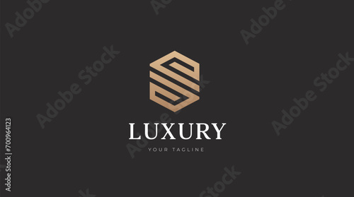 Alphabet S luxury initial letters and hexagon brand monogram logo template. vector ilustration