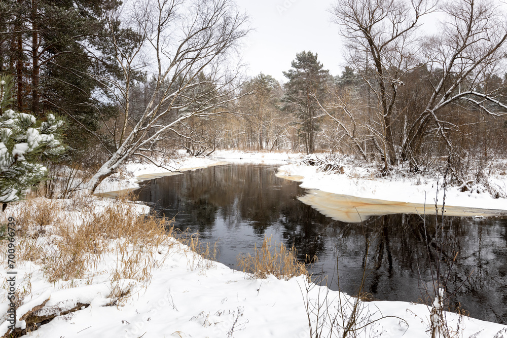 Obraz premium A river flows in the winter forest with the dark reflection of the trees