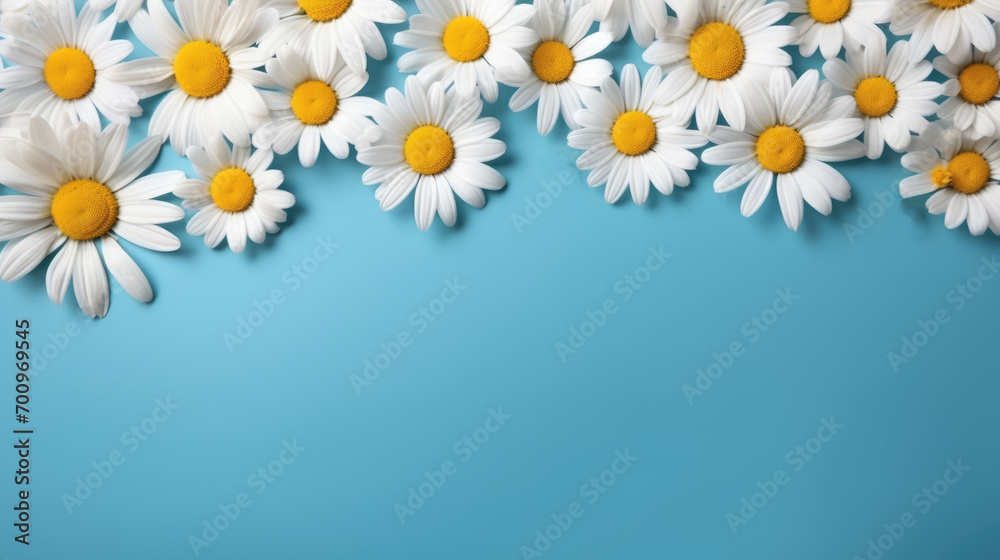 Blue background with chamomile frame and copy space. Flat layer, top view. Blue background with chamomile frame and copy space. Flat layer, top view.