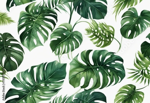 Exotic plants palm leaves monstera on an isolated white background watercolor vector illustration