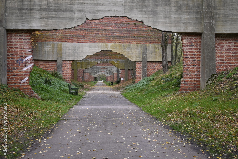 Obraz premium walk, shooting range, ścieżka, portal.