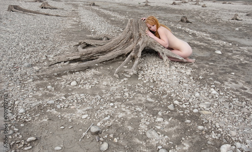 redheaded woman with long hair nestles sensually naked against a withered tree stump in the dry desert bavarian Forggensee, as a visible reminder of the threat of climate change