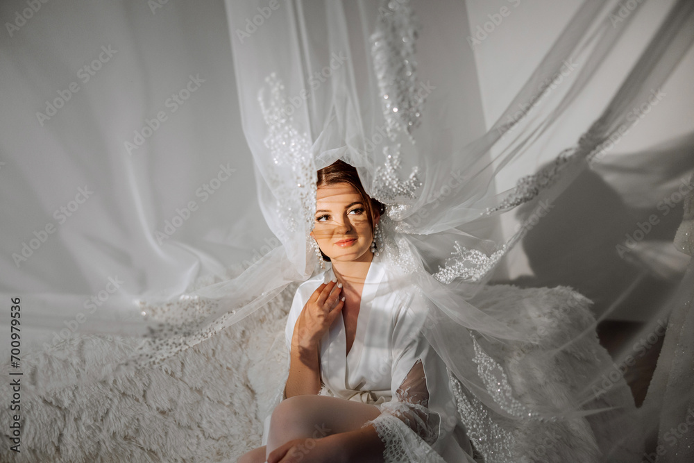 Nice cute girl in a boudoir robe. Happy beautiful bride under veil. Fashion, beauty, style. Morning of the bride. Beautiful bride with stylish make up and hair style. Nice cute girl in a boudoir robe. Happy beautiful bride under veil. Fashion, beauty, style. Morning of the bride. Beautiful bride with stylish make up and hair style.