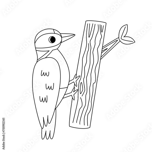 Cute woodpecker. Black and white illustration. Coloring page.