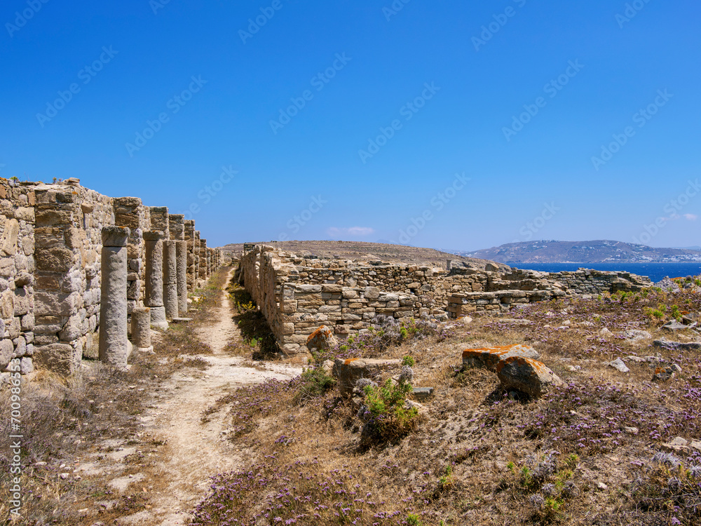 Stadium Quarter, Delos Archaeological Site, Delos Island, Cyclades, Greece
