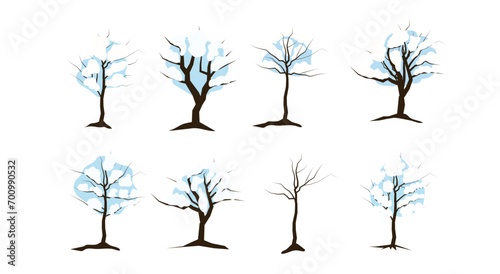 Winter Trees Transparent  photo