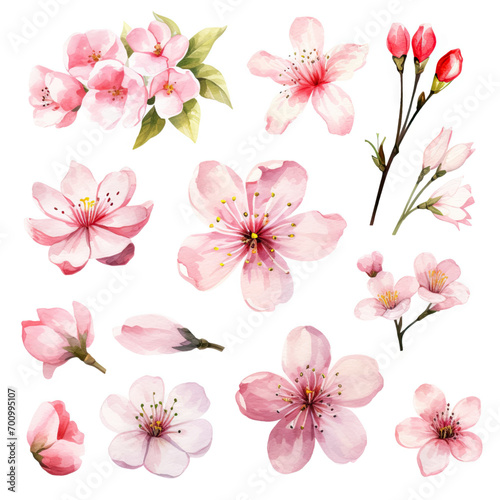Vector collection of cherry blossoms