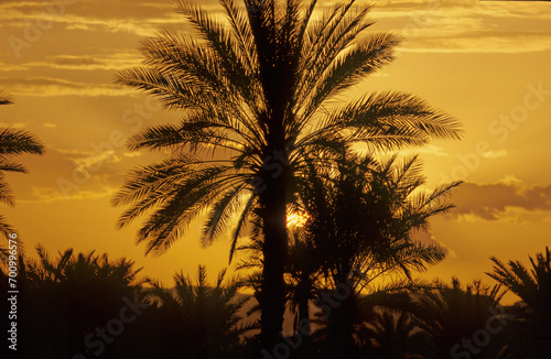 Sunset in Qulensya photo