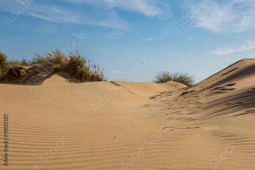 Sand dunes at Camber in Sussex on a sunny September day