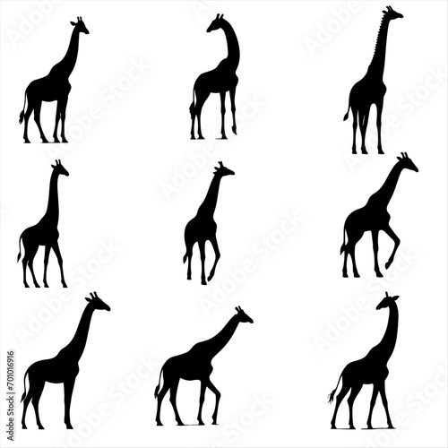 silhouettes of giraffe silhouettes , set of animals silhouettes